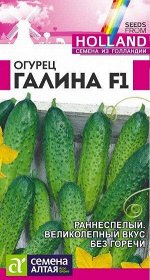 Огурец Галина F1/Сем Алт/цп 5 шт. Seminis (Голландские Семена)