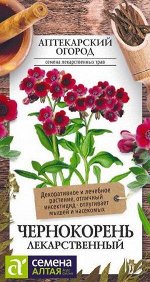 Зелень Чернокорень Лекарственный/Сем Алт/цп 0,1 гр. АПТЕКАРСКИЙ ОГОРОД!