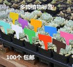Прочные пластиковые этикетки 100 шт