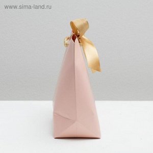 Подарочный  Пакет «Best wishes», 28 х 20 х 9 см