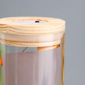 Ночник колба "Букет из красных цветов" LED от батареек LR1130 6,5х6,5х19 см RISALUX