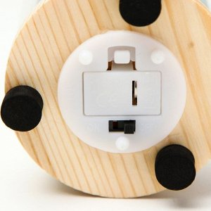 Фигурка в колбе RISALUX «Сердце цветное», LED-ночник, от батареек 3xLR44, 13x7.2x12 см