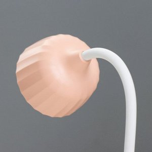 Настольная лампа «Дженер» LED 2 Вт USB АКБ МИКС 9?9?22 см RISALUX