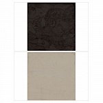 Бумага для скрапбукинга 30*30 см 220 гр/м Foundation One