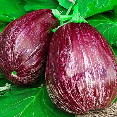 Семена, горшочки, фито лампы, агрохимия, инструменты