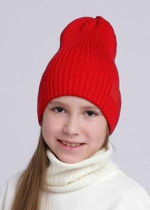 Шапка. Цвет: красный