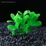 Растение искусственное аквариумное малое, 6 см 2590682