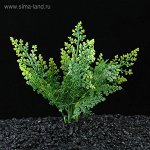 Растение искусственное аквариумное, до 13 см  1010991