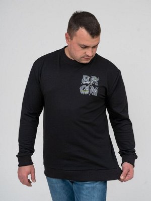 Толстовка мужская Эталон черный
