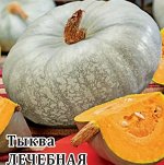 Тыква Лечебная столовая, раннеспелая, плетистая 1гр Гавриш/ЦВ