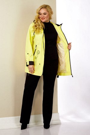 Куртка Куртка SHETTI 2116 желтый 
Состав: ПЭ-100%;
Сезон: Весна
Рост: 164

Лёгкая куртка на весну станет комфортной и универсальной верхней одеждой на все случаи жизни. Даже летними прохладными вечер