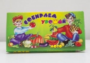 Лото "собираем урожай"