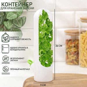 Контейнер для хранения зелени Доляна Fresh, пластик, 500 мл, белый