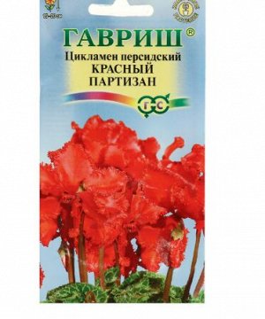Цикламен "Красный партизан", персидский, 3 шт