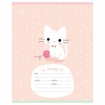 Тетрадь школьная 12л., КЛЕТКА MESHU &quot;&quot;Little kitty&quot;&quot;