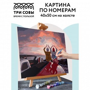 Картина по номерам на холсте ТРИ СОВЫ ""Прекрасный вид"", 40*50, с акриловыми красками и кистями