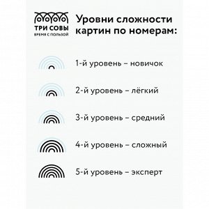 Картина по номерам на холсте ТРИ СОВЫ ""Прекрасный вид"", 40*50, с акриловыми красками и кистями