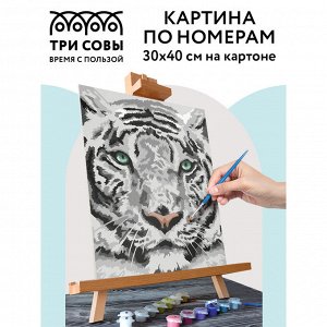 Картина по номерам на картоне ТРИ СОВЫ ""Бенгальский тигр"", 30*40, с акриловыми красками и кистями