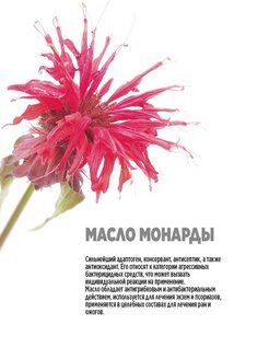 Organic Elixir Умный эликсир для волос Smart Master