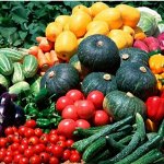 Семена овощей, зелени, ягод, фруктов, цветов. Ликвидация