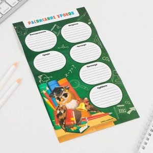 Подарочный набор «Выпускника начальной школы»: блокнот-раскраска, расписание уроков и восковые мелки 4 шт .