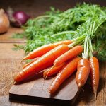 Семена моркови — с середины апреля можно сеять в ОГ