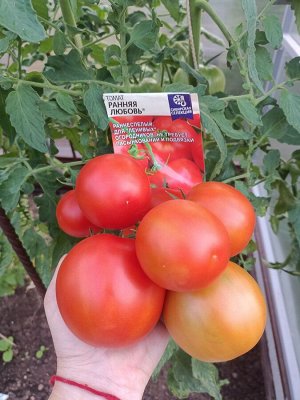 Томат Ранняя Любовь/Сем Алт/цп 0,05 гр. Наша Селекция!