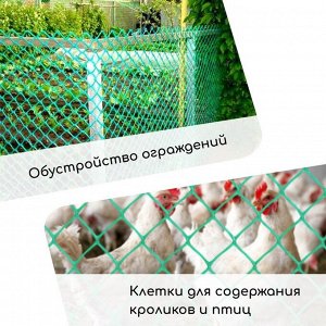 Сетка садовая, 1x10 м, ячейка ромб 13x13 мм, для птичников, пластиковая, зелёная, Greengo, в рулоне