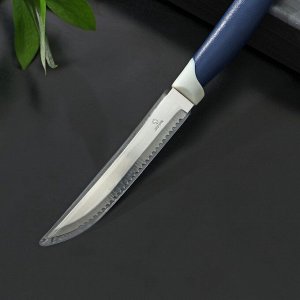 Нож Доляна «Страйп», зубчатое лезвие 11,5 см