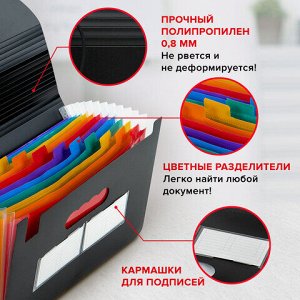 Папка-органайзер для бумаг и документов на резинке, 13 отделений, BRAUBERG DOCS, А4, черная, 271152