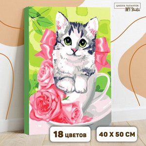 Картина по номерам на холсте с подрамником «Котёнок в чашке» 4050 см