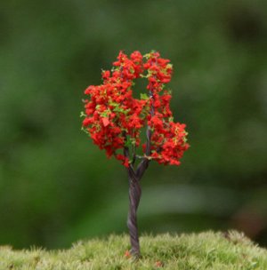 Дерево красное