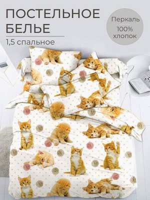 Комплект постельного белья 1,5-спальный, перкаль, детская расцветка (Рыжие котята)