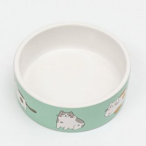 Миска керамическая "Котяры" 300 мл 12,5 x 4,5 cм, зелёна/белая