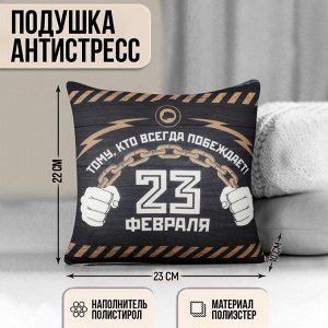 mni mnu Подушка-антистресс декоративная «23 февраля»