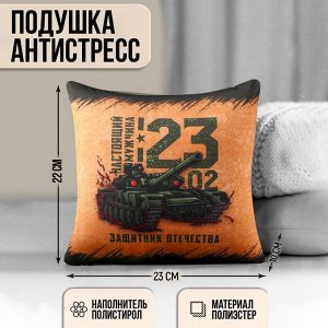 Подушка-антистресс декоративная «Защитник Отечества», 21х20 см