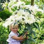 Лилия Претти Вуман