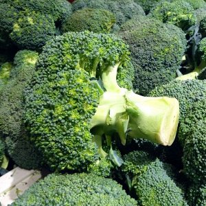 Капуста брокколи Восторг F1
