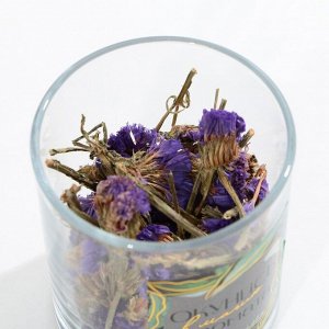 Аромамасло в наборе с сухоцветами «Окунись в магию аромата», мята