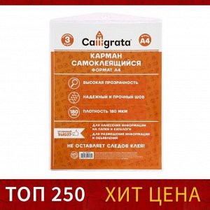 Карман самоклеящийся А4, 223x303 мм, комплект 3 штуки, Calligrata, 180 мкм, на лицевую сторону папок и любые гладкие поверхности