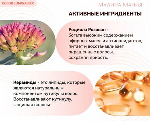 ICE PROFESSIONAL, Color Luminaiser Маска для окрашенных волос Ламинирующая, 200 мл, Натура Сиберика