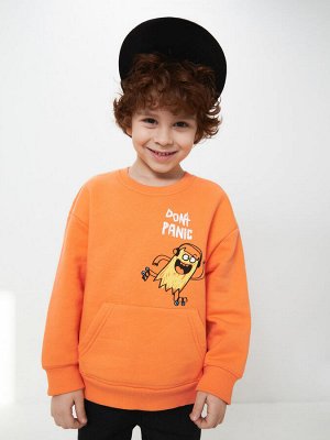 Джемпер детский для мальчиков Apricot_sw оранжевый