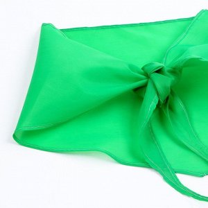 Галстук пионерский, 100% п/э, цвет зелёный, 120 x 26 см