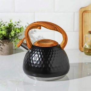 Чайник со свистком из нержавеющей стали Magistro Heat, 3 л, ТРС, индукция, ручка soft-touch, цвет чёрный