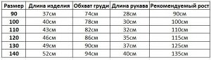 Джинсовая куртка со съемным капюшоном для мальчика, цвет голубой + серый капюшон