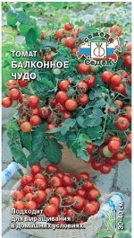 Томат Балконное Чудо 0,1гр