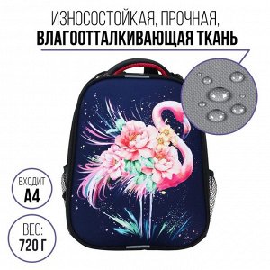 Рюкзак каркасный 38 х 30 х 16 см, эргономичная спинка, Calligrata Probag "Фламинго" (школьный, с ситемой роста)