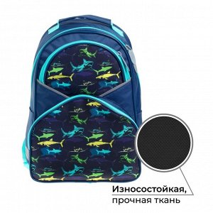 Рюкзак школьный, 37 х 26 х 13 см, эргономичная спинка, Calligrata АН "Акулы"