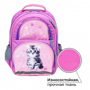 Рюкзак школьный, 36 х 23 х 13 см, эргономичная спинка, Calligrata П "Котёнок", серый/розовый