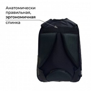 Рюкзак школьный, 37 х 26 х 13 см, эргономичная спинка, Calligrata АН "Енотик"